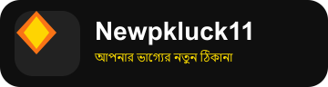 newpkluck11.net Logo